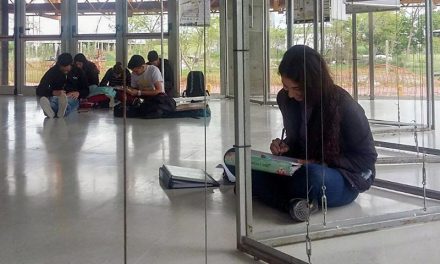 CÓMO INCORPORAR A LOS ESTUDIANTES A LA COMUNIDAD DISCIPLINAR Y NO PERDERSE EN EL INTENTO