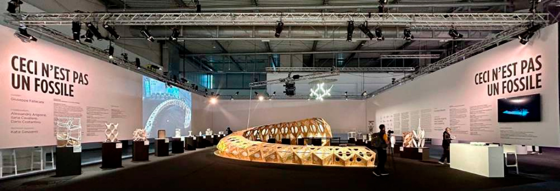 Exposición «Ceci n'est pas un fossile» MMA2024. El prototipo argentino es el primer expositor de la izquierda. Fotografía: Giuseppe Fallacara.